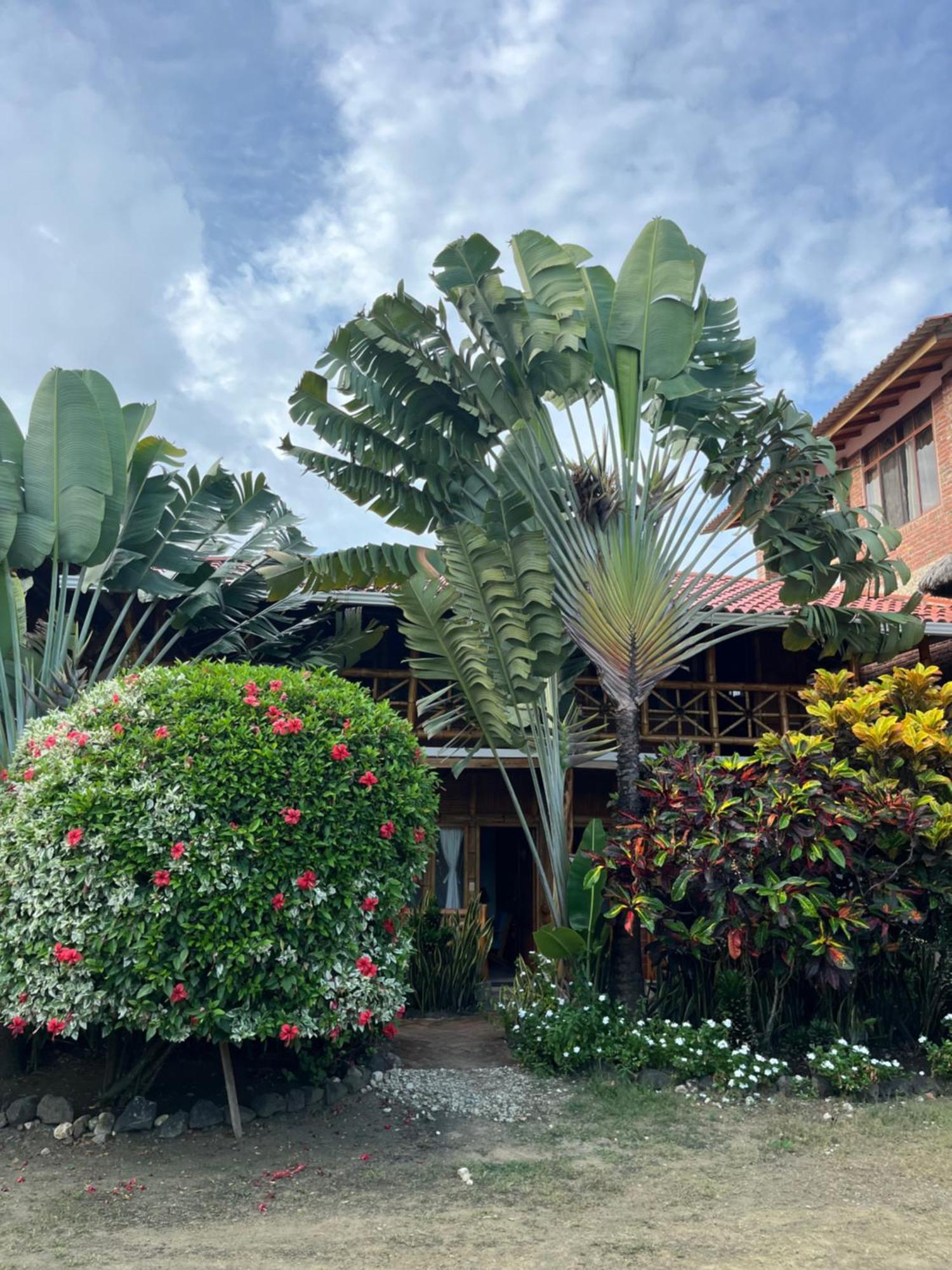Victor Hugo Hotel Puerto López Extérieur photo